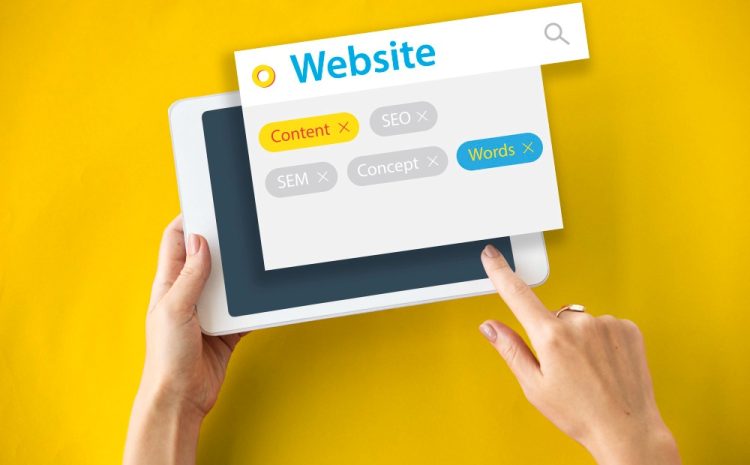  Berbagai Fungsi WordPress, Kenali Kelebihan dan Kekurangannya